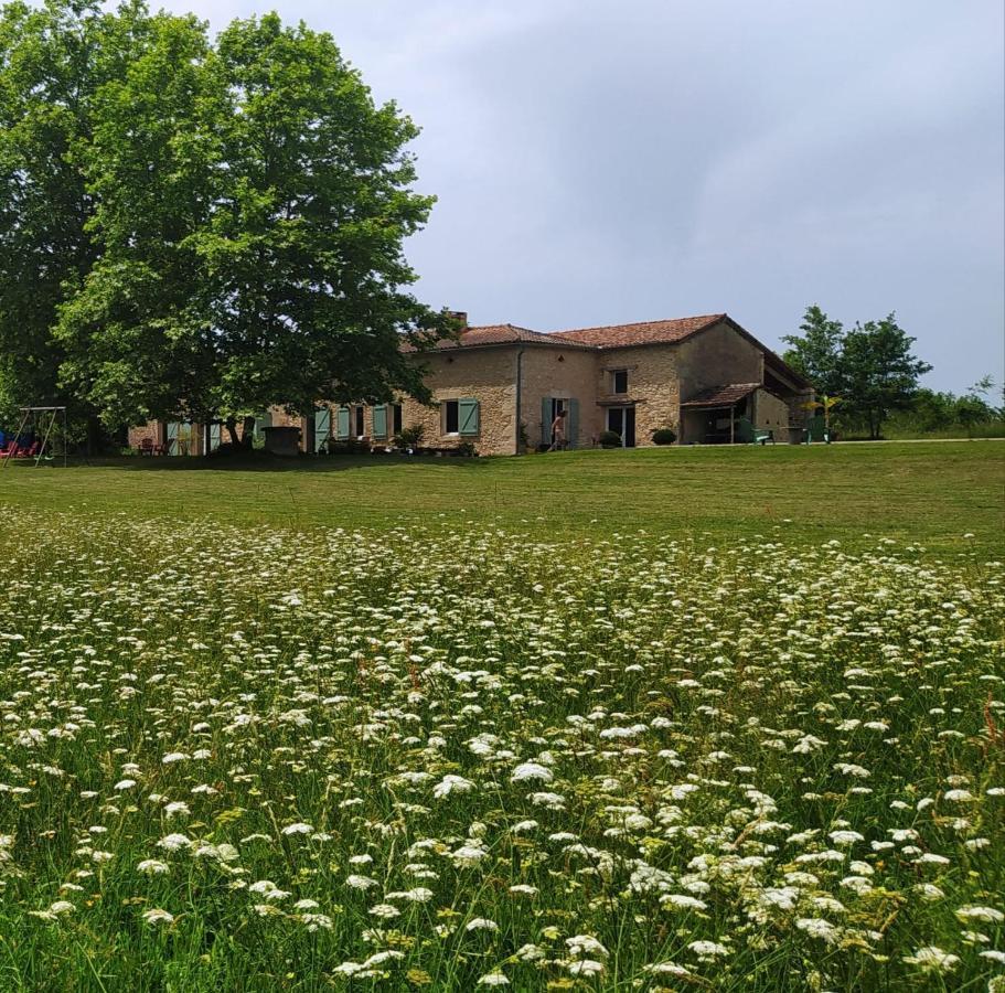 Le Haut Sechoir Buzet-sur-Baise Exterior foto
